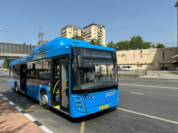 Изменение маршрутов автобусов в Сочи