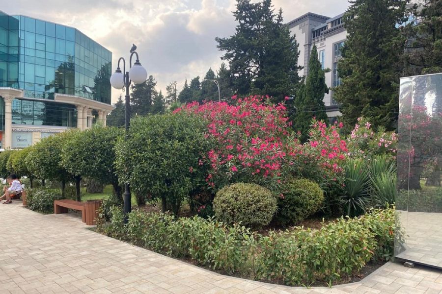 В Центральном районе продолжается выполнение работ по благоустройству